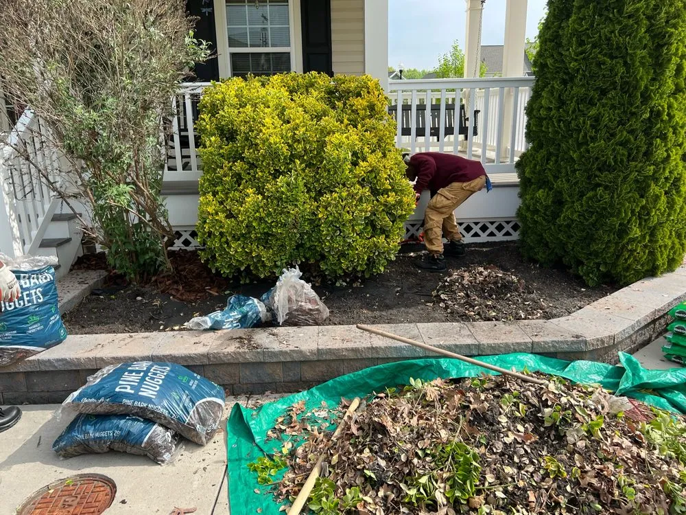 Expert lawn mowing service in Baltimore, MD by M&T Realty Group