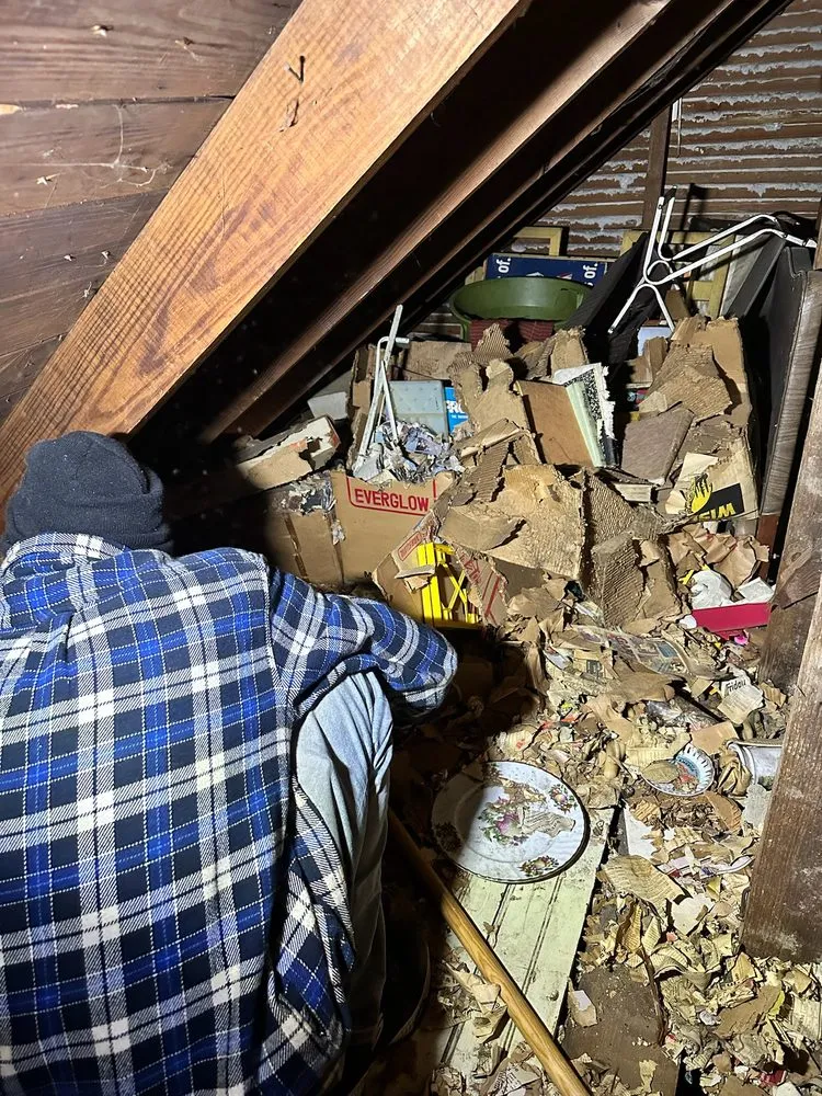 Affordable landscaping services with custom design across Baltimore, MD - M&T Realty Group