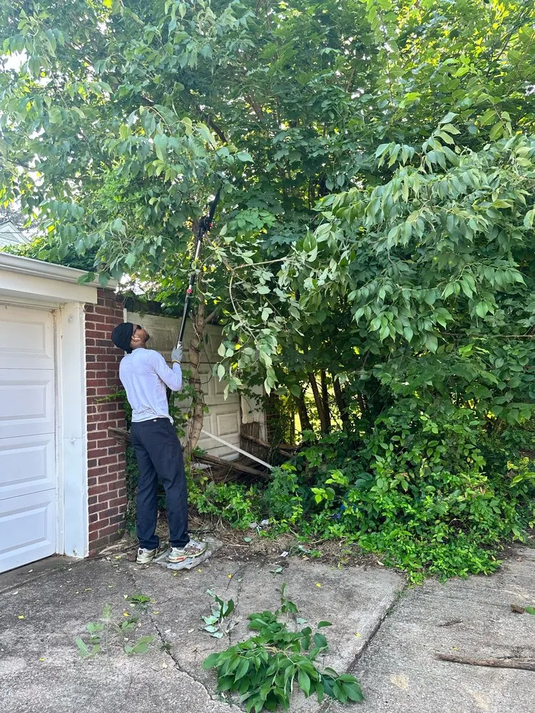 Custom lawn mowing service in Baltimore, MD - M&T Realty Group