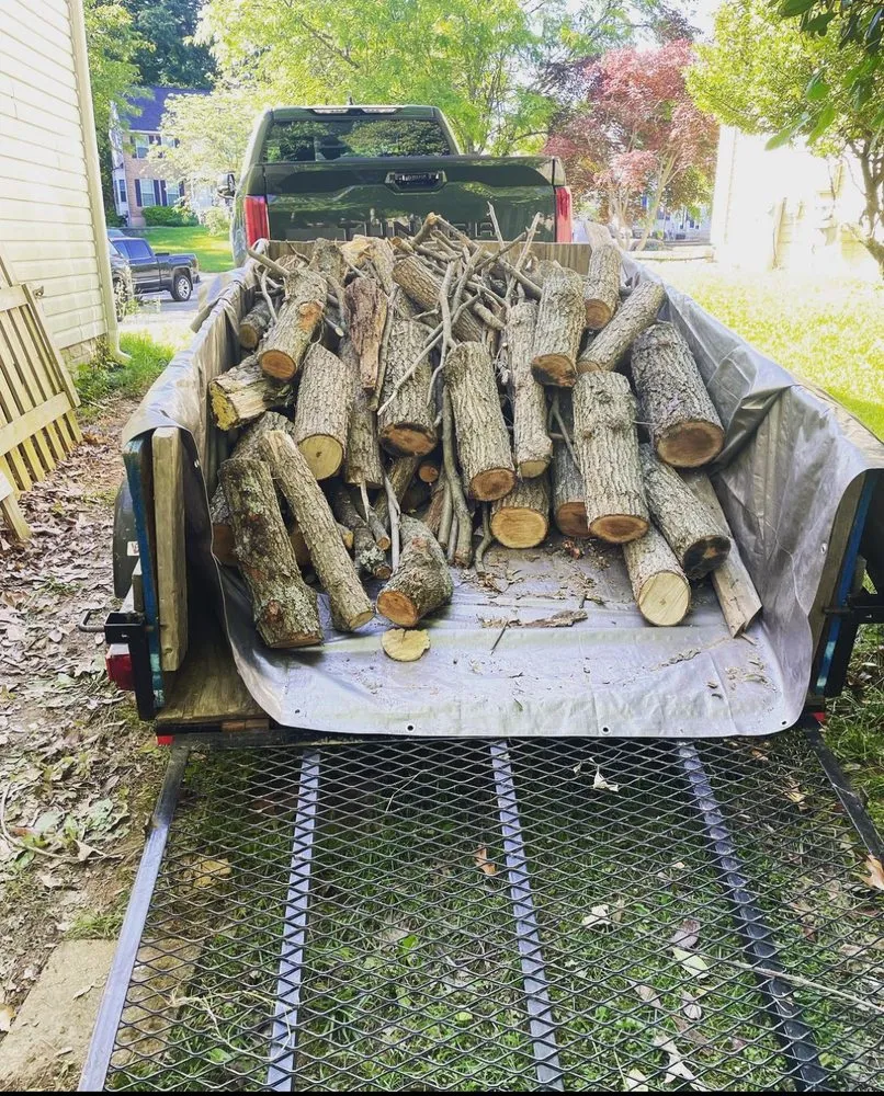 Expert lawn mowing service in Baltimore, MD by M&T Realty Group