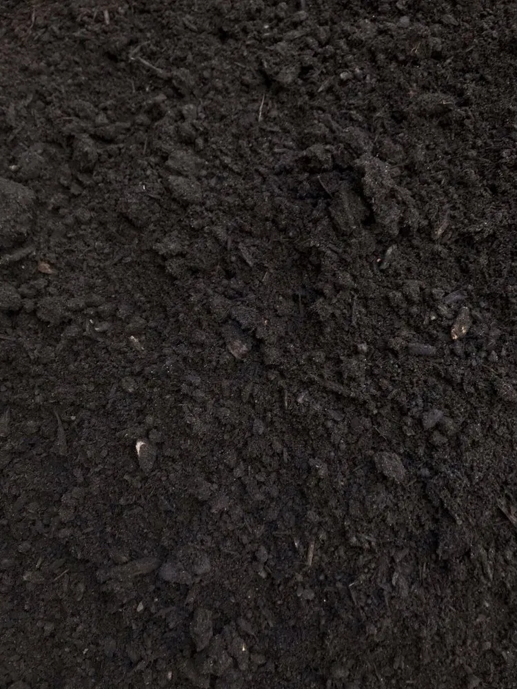 Top-rated yard cleanup service in Portland, OR - Mt Scott Fuel