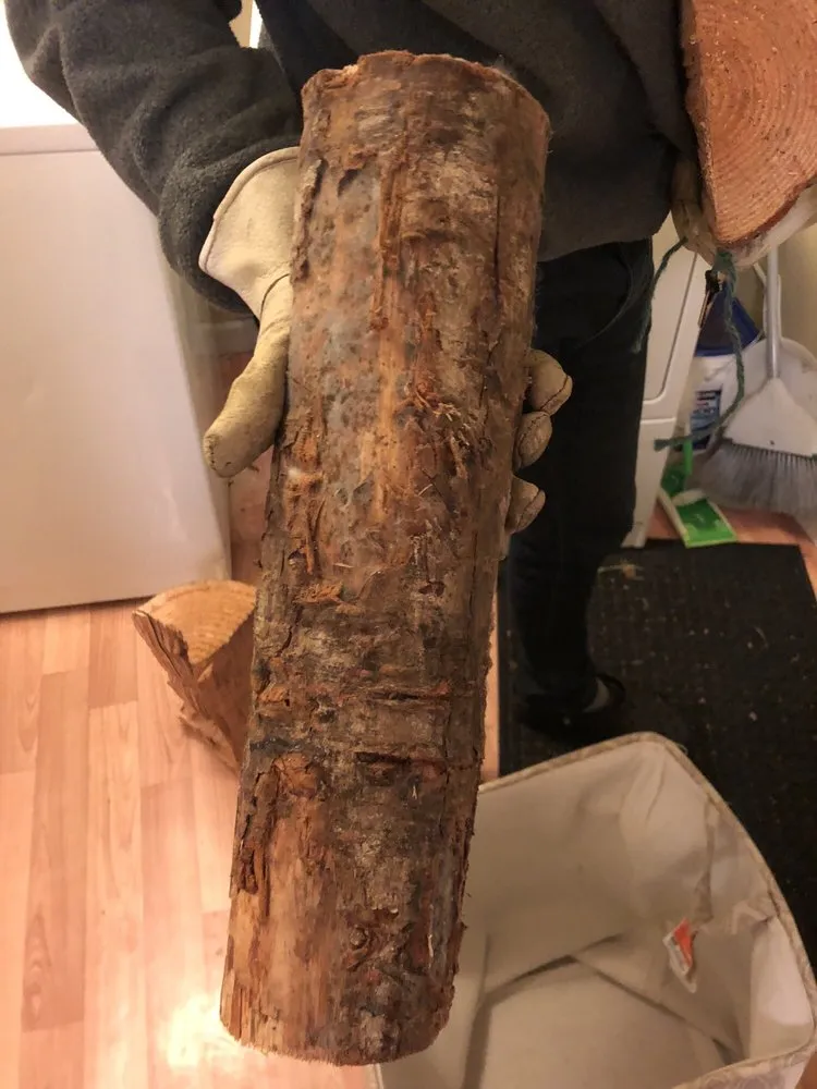 Custom landscape design in Portland, OR - Mt Scott Fuel