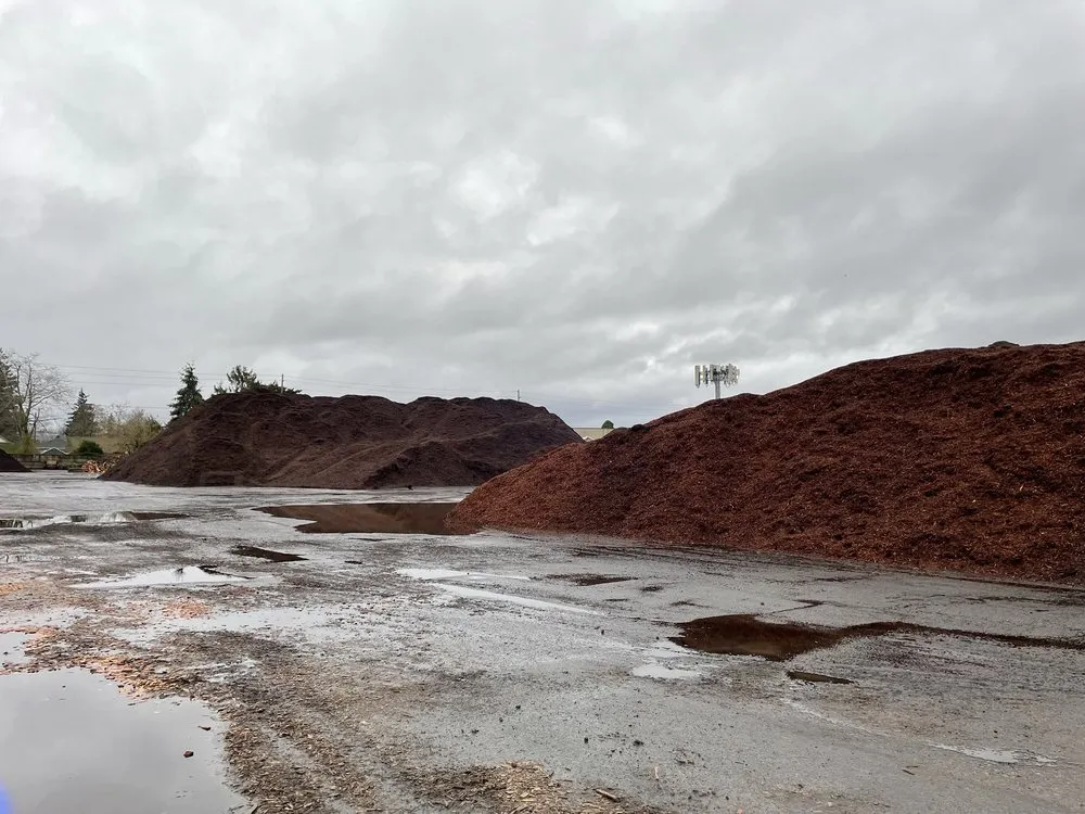 Local lawn care service for year-round maintenance in Portland, OR by Mt Scott Fuel