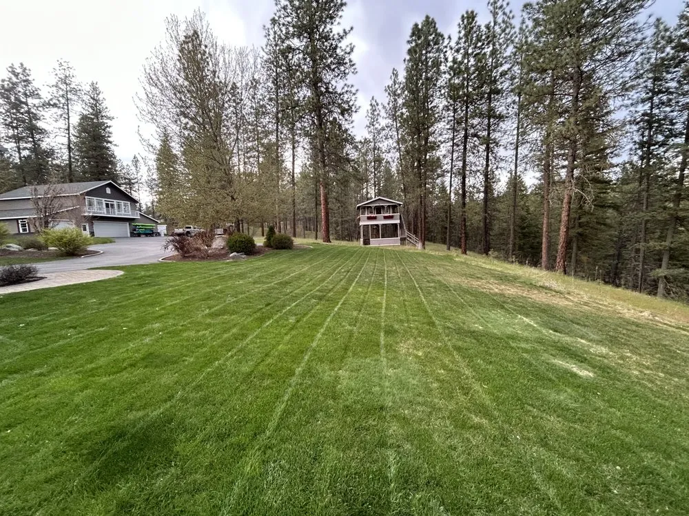 Top-rated lawn mowing service with custom design across Colbert, WA - Mt Spokane Boys Landscaping and Lawncare