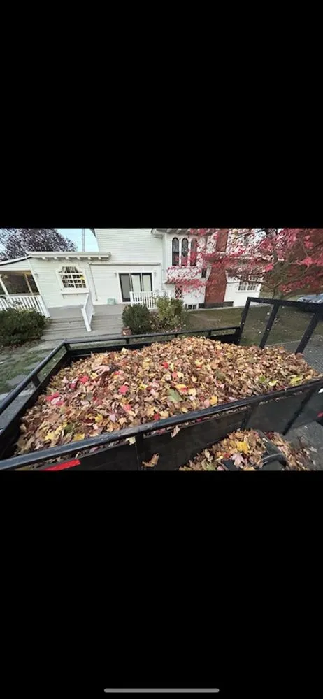 Local yard cleanup service experts serving Colbert, WA - Mt Spokane Boys Landscaping and Lawncare