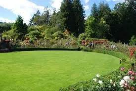 Local landscaping services in San Rafael, CA by Mt Tam Gardener