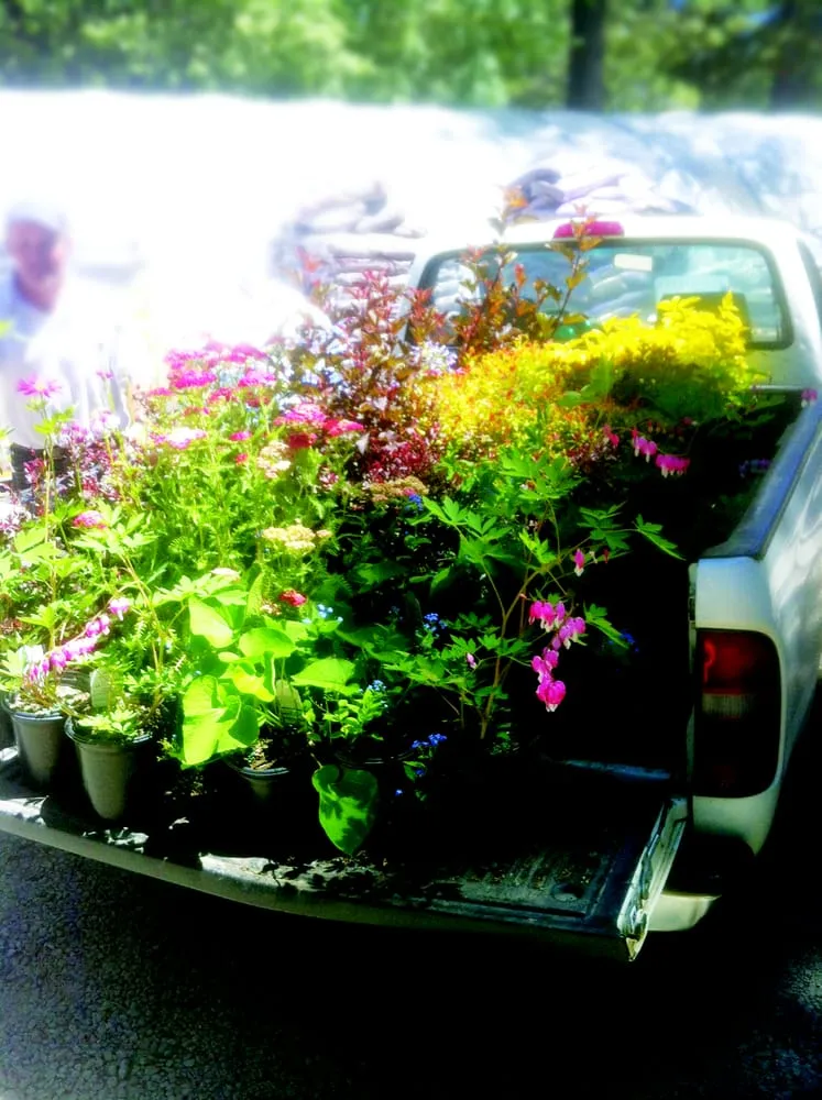 Expert yard cleanup service in South Lake Tahoe, CA - Mt View Lawn & Garden