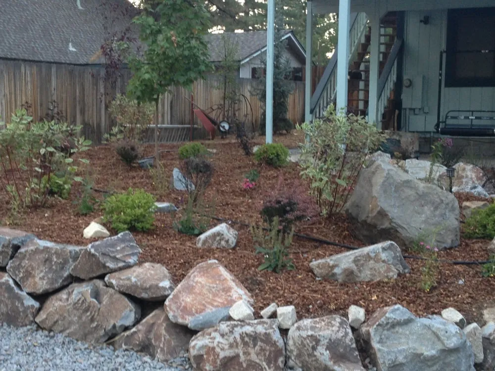 Affordable yard cleanup service for residential properties in South Lake Tahoe, CA by Mt View Lawn & Garden