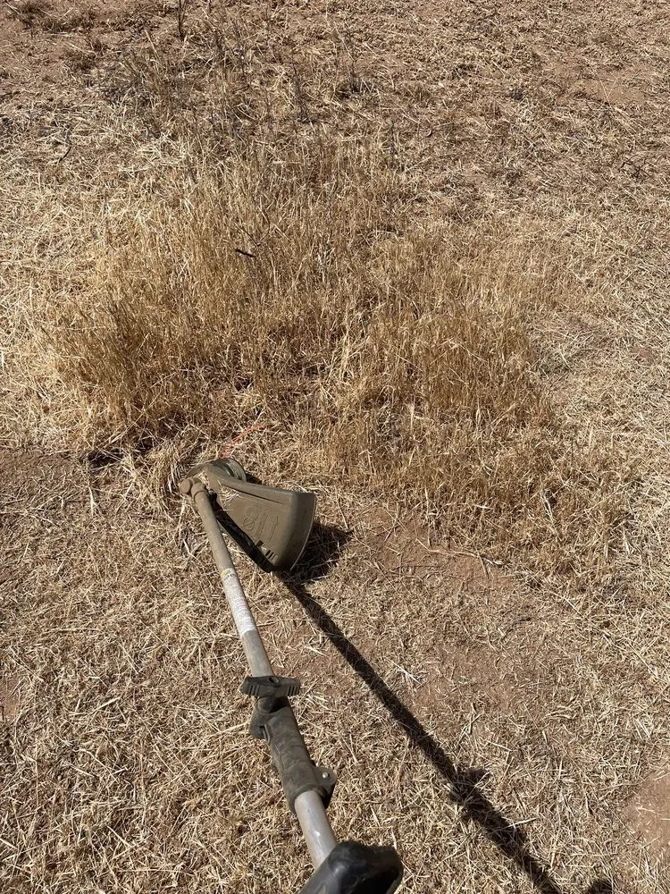 Affordable landscape design for outdoor upgrades in Riverside, CA by Mt Weedabatement