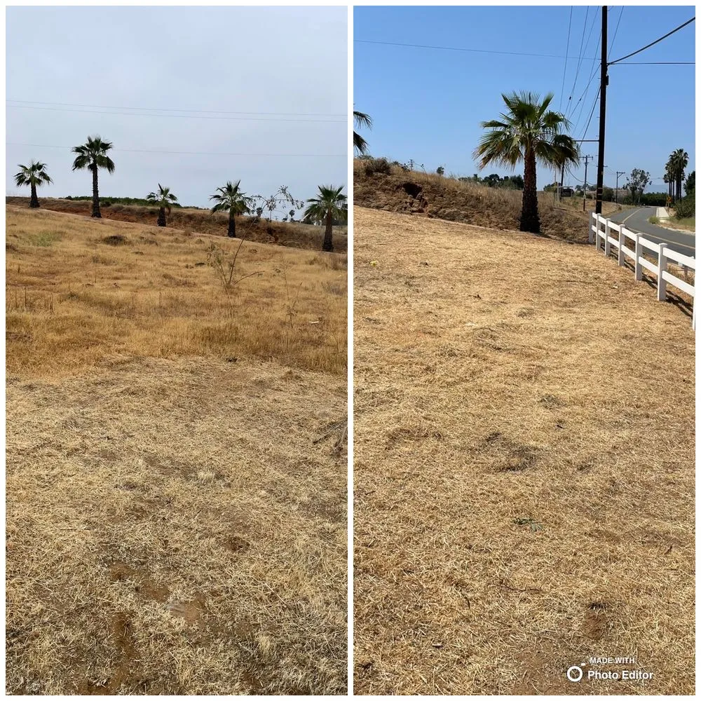 Custom residential landscaping in Riverside, CA by Mt Weedabatement