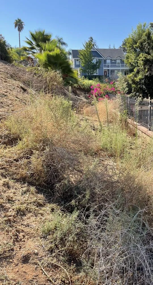 Custom yard maintenance experts serving Riverside, CA - Mt Weedabatement
