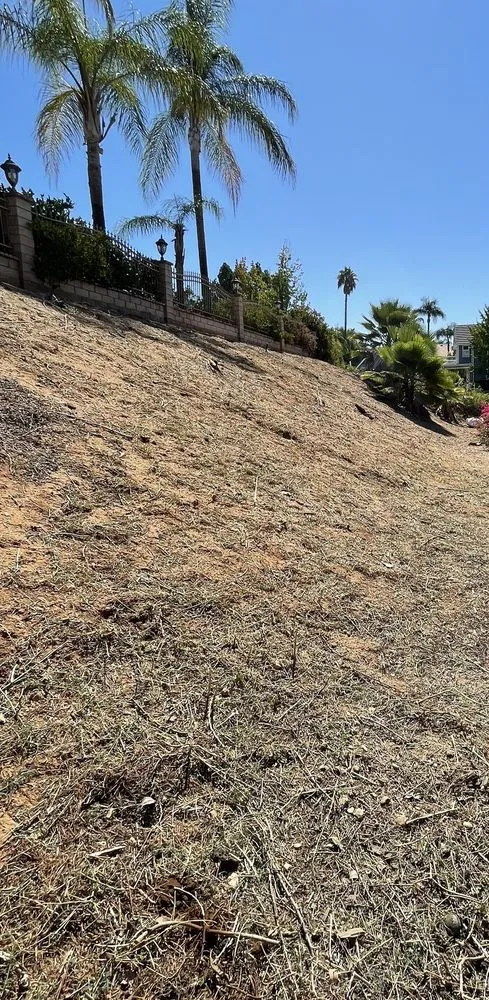 Local landscape design in Riverside, CA by Mt Weedabatement