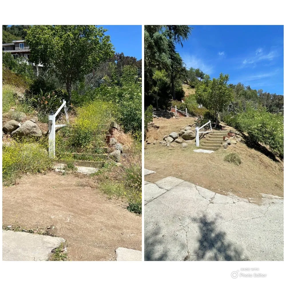 Trusted outdoor landscaping experts serving Riverside, CA - Mt Weedabatement
