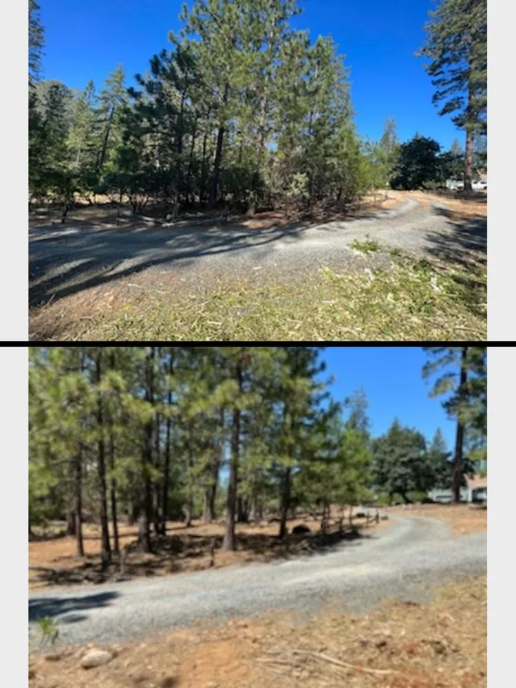 Trusted garden landscaping for residential properties across Foresthill, CA - MTA Enterprise