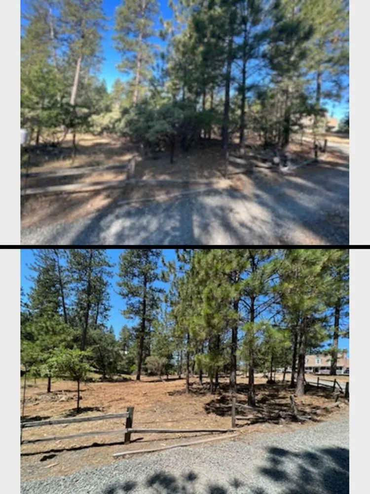 Reliable lawn mowing service in Foresthill, CA - MTA Enterprise