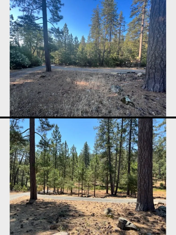 Custom landscape installation for residential properties across Foresthill, CA - MTA Enterprise