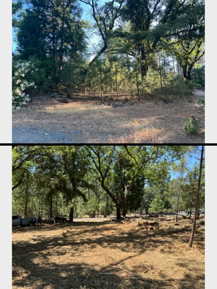 Affordable yard maintenance for outdoor upgrades across Foresthill, CA - MTA Enterprise