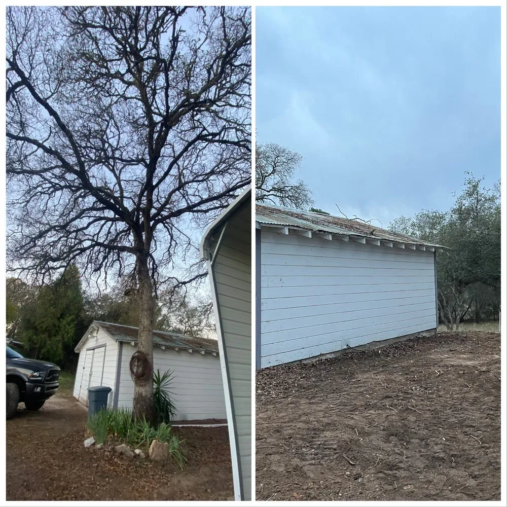 Trusted residential landscaping in Foresthill, CA - MTA Enterprise