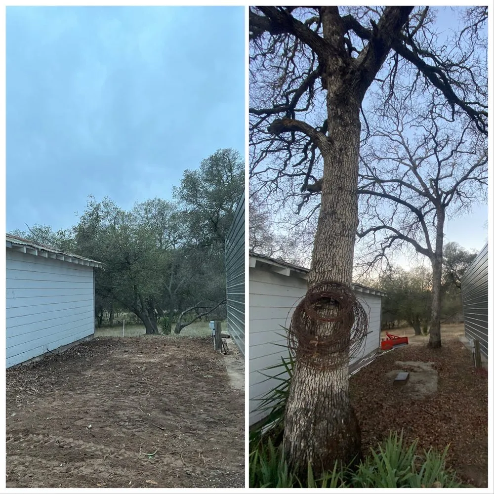 Reliable lawn mowing service in Foresthill, CA - MTA Enterprise