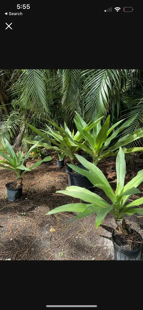 Custom yard maintenance for homes across Loxahatchee Groves, FL - MTA Sport Development