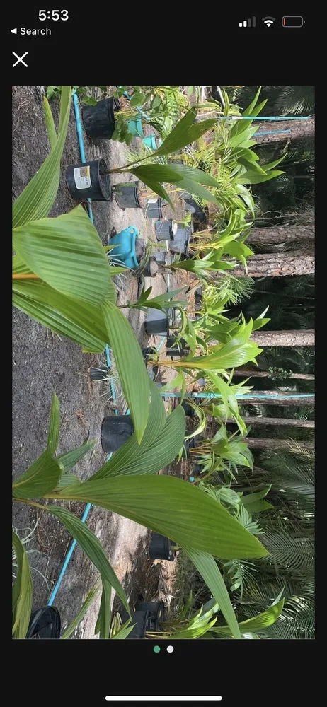 Trusted yard cleanup service experts serving Loxahatchee Groves, FL - MTA Sport Development