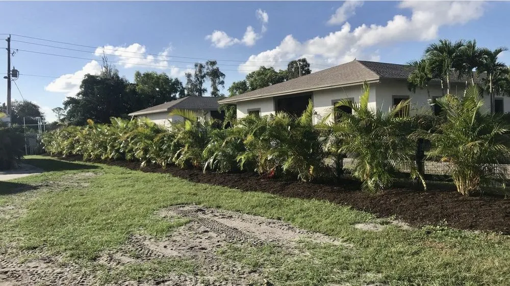 Local outdoor landscaping for year-round maintenance in Loxahatchee Groves, FL by MTA Sport Development