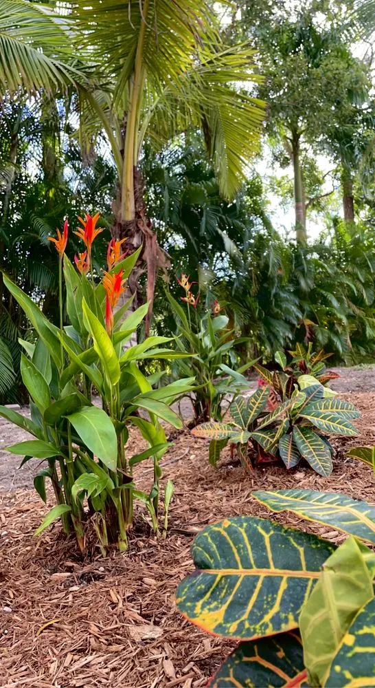 Affordable outdoor landscaping in Loxahatchee Groves, FL - MTA Sport Development