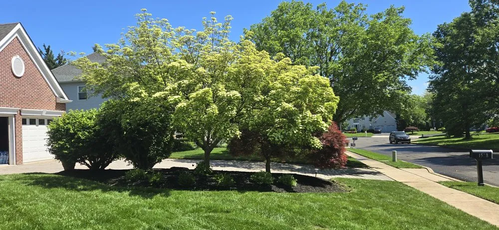 Reliable lawn mowing service for beautiful yards in Warminster, PA by MTB Landscaping