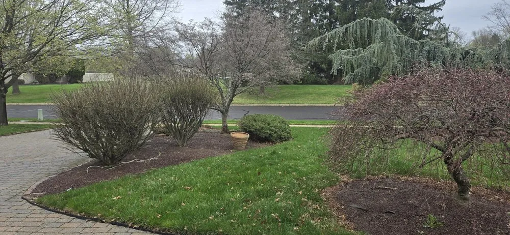 Expert landscaping services in Warminster, PA by MTB Landscaping