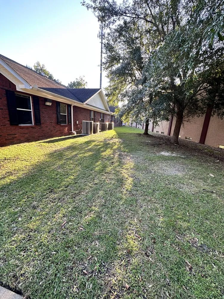 Reliable yard cleanup service in Crawfordville, FL - MTC Lawn Care