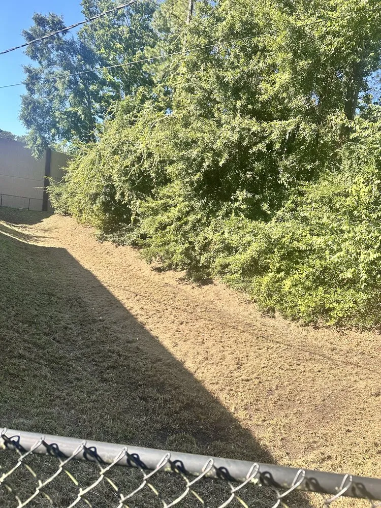 Expert outdoor landscaping experts serving Crawfordville, FL - MTC Lawn Care