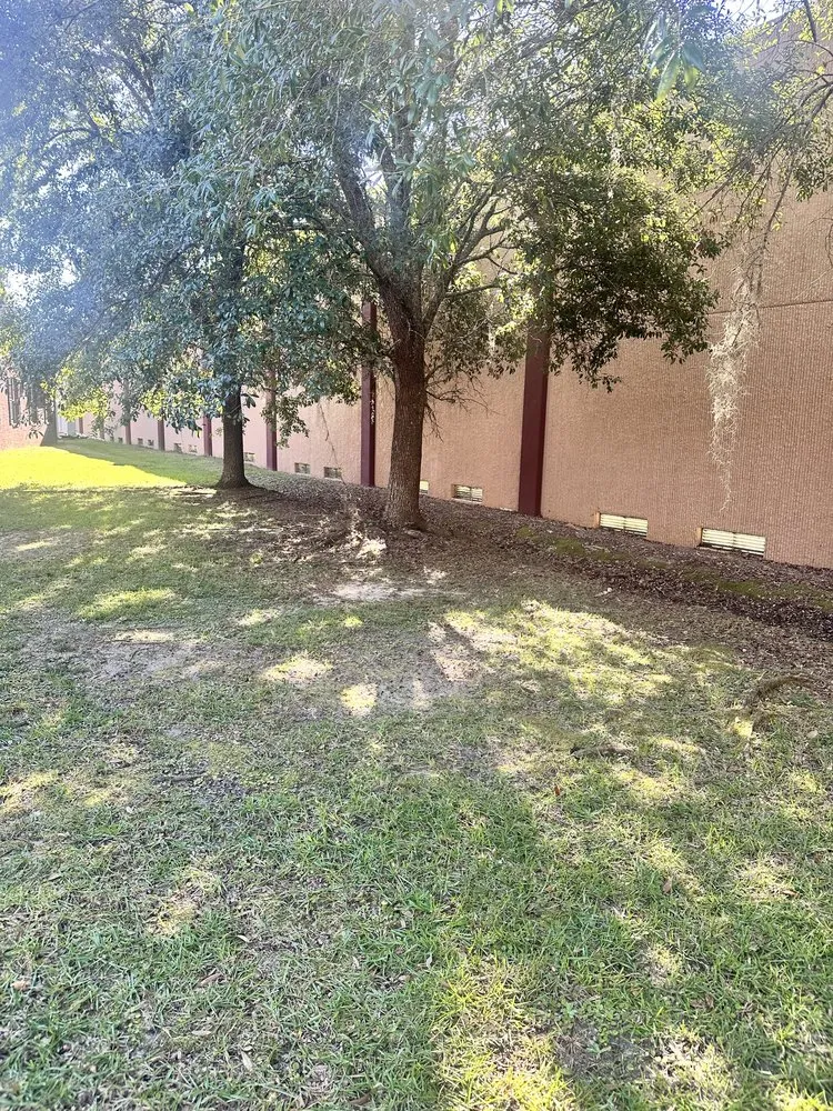 Custom residential landscaping in Crawfordville, FL by MTC Lawn Care