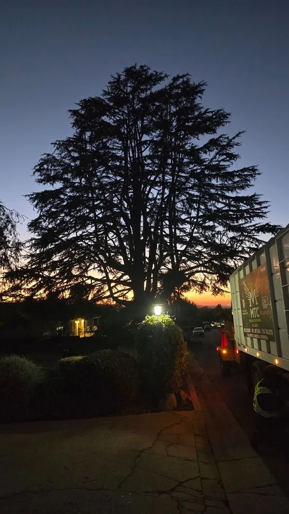 Top-rated lawn care service experts serving Riverside, CA - MTC Tree Care