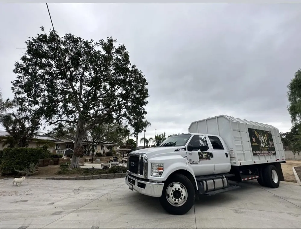 Top-rated landscaping services for beautiful yards across Riverside, CA - MTC Tree Care