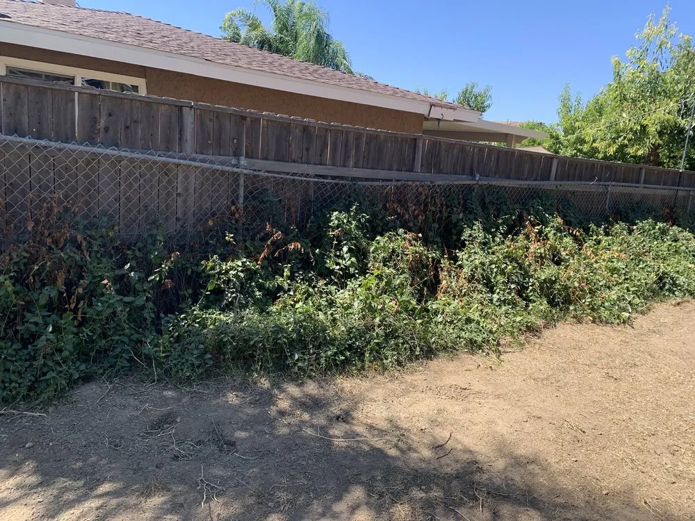 Affordable landscape design for residential properties across Riverside, CA - MTC Tree Care