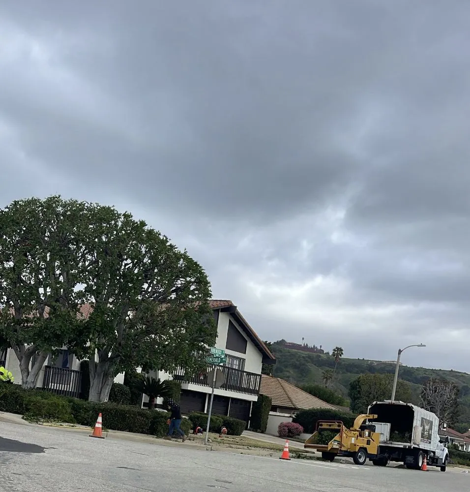 Reliable outdoor landscaping experts serving Riverside, CA - MTC Tree Care