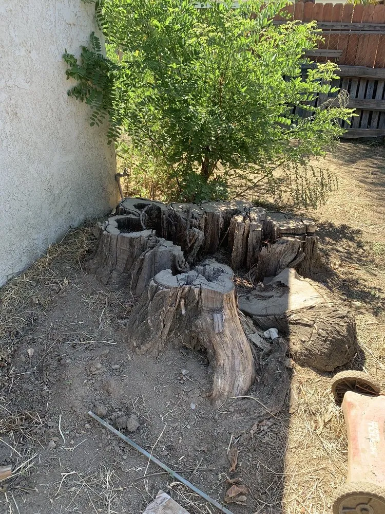 Expert residential landscaping for homes across Riverside, CA - MTC Tree Care