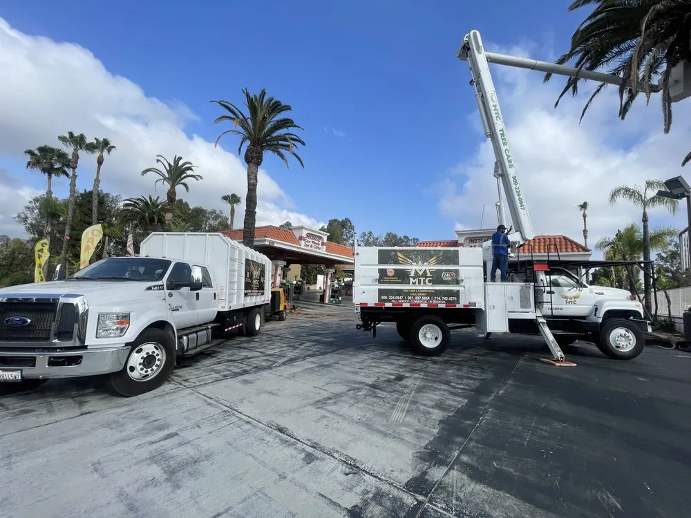 Local yard maintenance for residential properties across Riverside, CA - MTC Tree Care