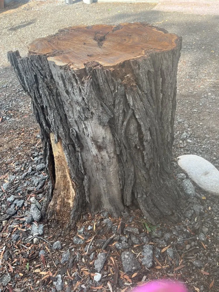 Local outdoor landscaping in Riverside, CA - MTC Tree Care