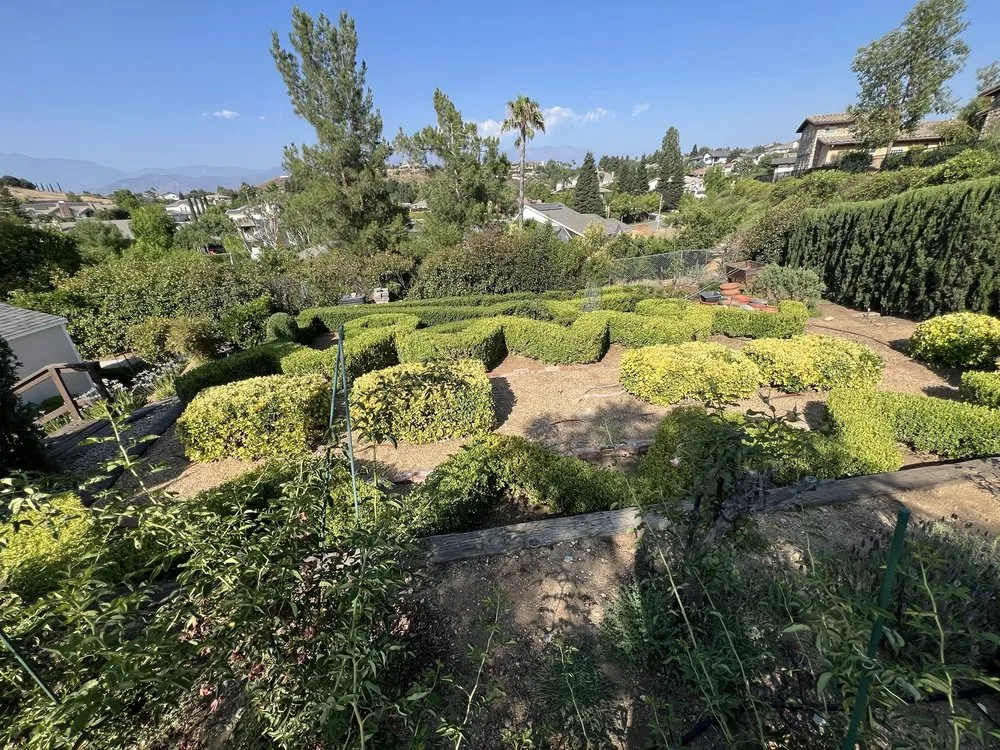 Trusted garden landscaping in Riverside, CA by MTC Tree Care