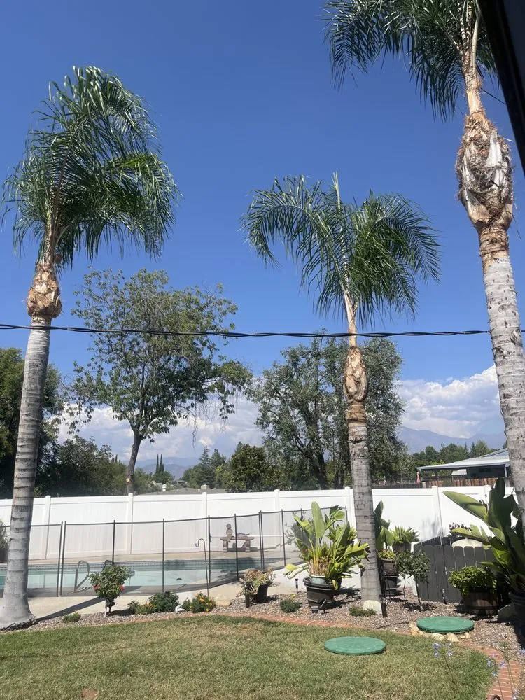 Custom landscape installation for beautiful yards across Riverside, CA - MTC Tree Care