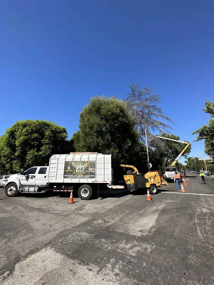 Top-rated lawn care service in Riverside, CA - MTC Tree Care