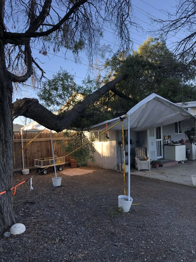 Trusted residential landscaping experts serving Riverside, CA - MTC Tree Care