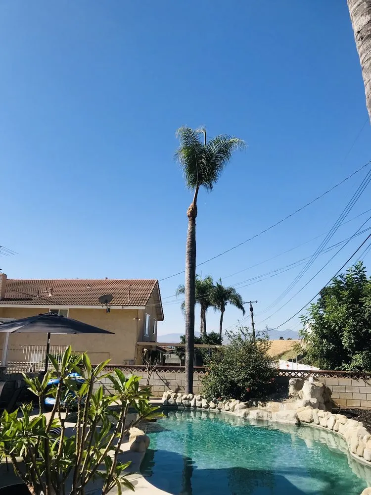 Trusted yard maintenance in Riverside, CA - MTC Tree Care