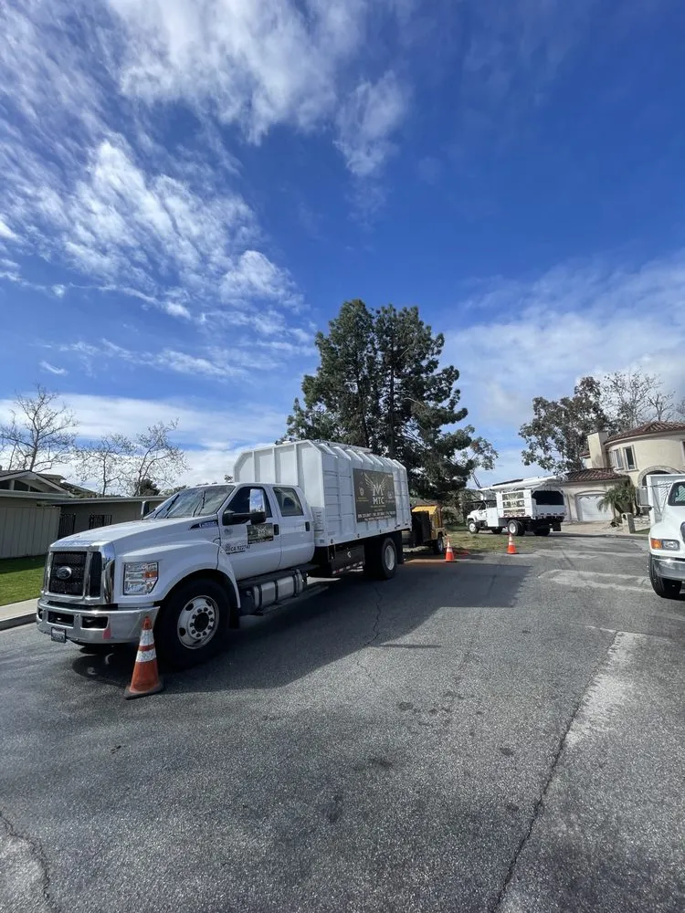 Trusted lawn care service experts serving Riverside, CA - MTC Tree Care