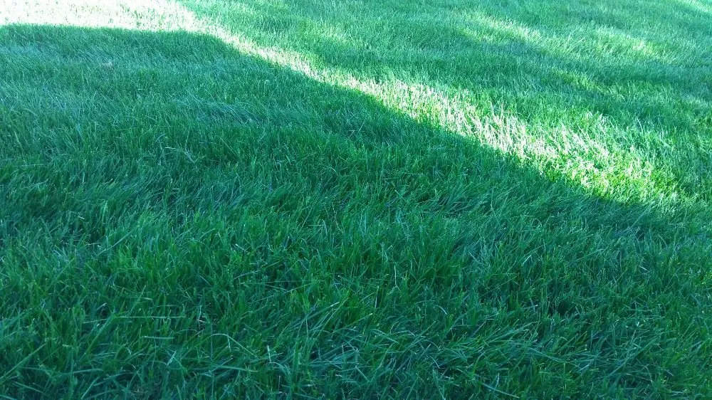 Affordable residential landscaping in Vermilion, OH by MTD Lawncare & Maintenance