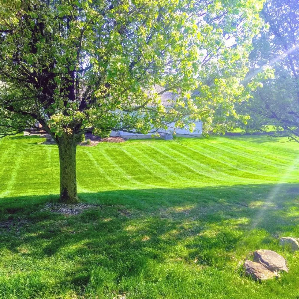 Local lawn care service in Vermilion, OH - MTD Lawncare & Maintenance