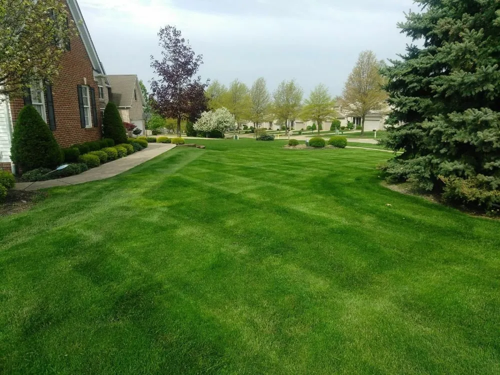 Local lawn mowing service for beautiful yards across Vermilion, OH - MTD Lawncare & Maintenance