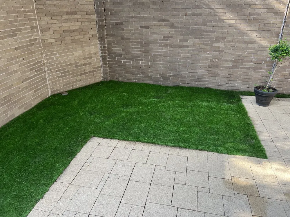 Affordable yard cleanup service in Houston, TX by Mtex Lawn Care