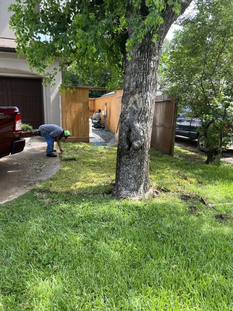 Professional yard cleanup service with custom design in Houston, TX by Mtex Lawn Care